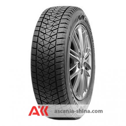 Bridgestone Blizzak DM-V2