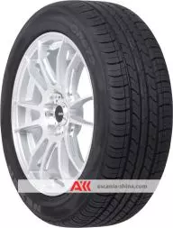 Вигляд 2 Фото Nexen (Roadstone) Classe Premiere 672 195/65 R15 91H