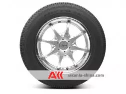 Вид 3 Фото Nitto Tire SN2 Winter 215/60 R17 96T