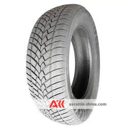 Вид 2 Фото RoadX RXFrost Tempo 215/65 R17 103H