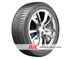 Вид 6 Фото BlackLion W5 Winter 215/60 R16 99H