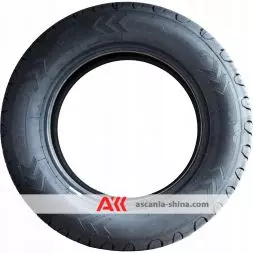 Вигляд 2 Фото Tigar CargoSpeed Evo 195/60 R16C 99/97H