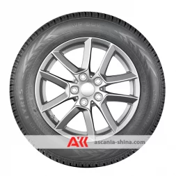 Вид 3 Фото Nokian WR SUV 4 255/55 R20 110V