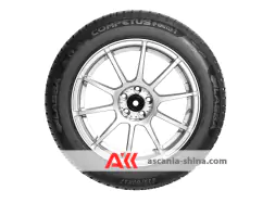 Вигляд 2 Фото Lassa Competus Winter 3 225/55 R19 103V