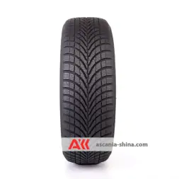 Вид 5 Фото Apollo Alnac 4G Winter 185/60 R15 84T