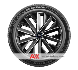 Вид 3 Фото Michelin Pilot Sport 5 Energy 255/40 R21 102Y