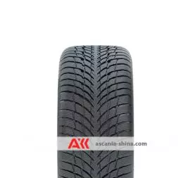 Вид 4 Фото Nokian WR SNOWPROOF P 245/45 R17 99V