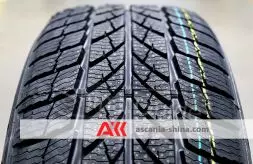 Вигляд 2 Фото Paxaro Inverno 225/45 R18 95V