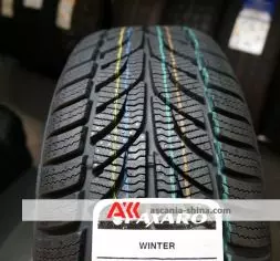 Вигляд 2 Фото Paxaro Winter 185/65 R15 88T