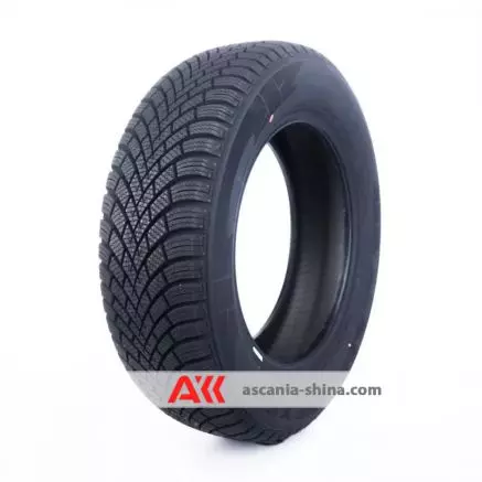 Фото Nexen (Roadstone) Winguard Snow G3 WH21 195/60 R15 88T