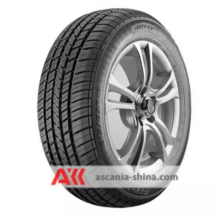 Фото Fortune FSR-301 215/65 R16 102H