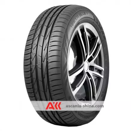 Фото Nokian Hakka Blue 3 SUV 265/60 R18 110V