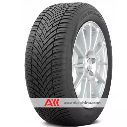 Фото Toyo Celsius AS2 195/65 R15 91H