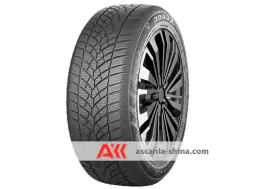 Вид 1 Фото RoadX RXFrost Tempo 215/65 R17 103H