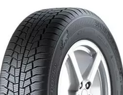 Фото Gislaved EuroFrost 6 215/70 R16 100H