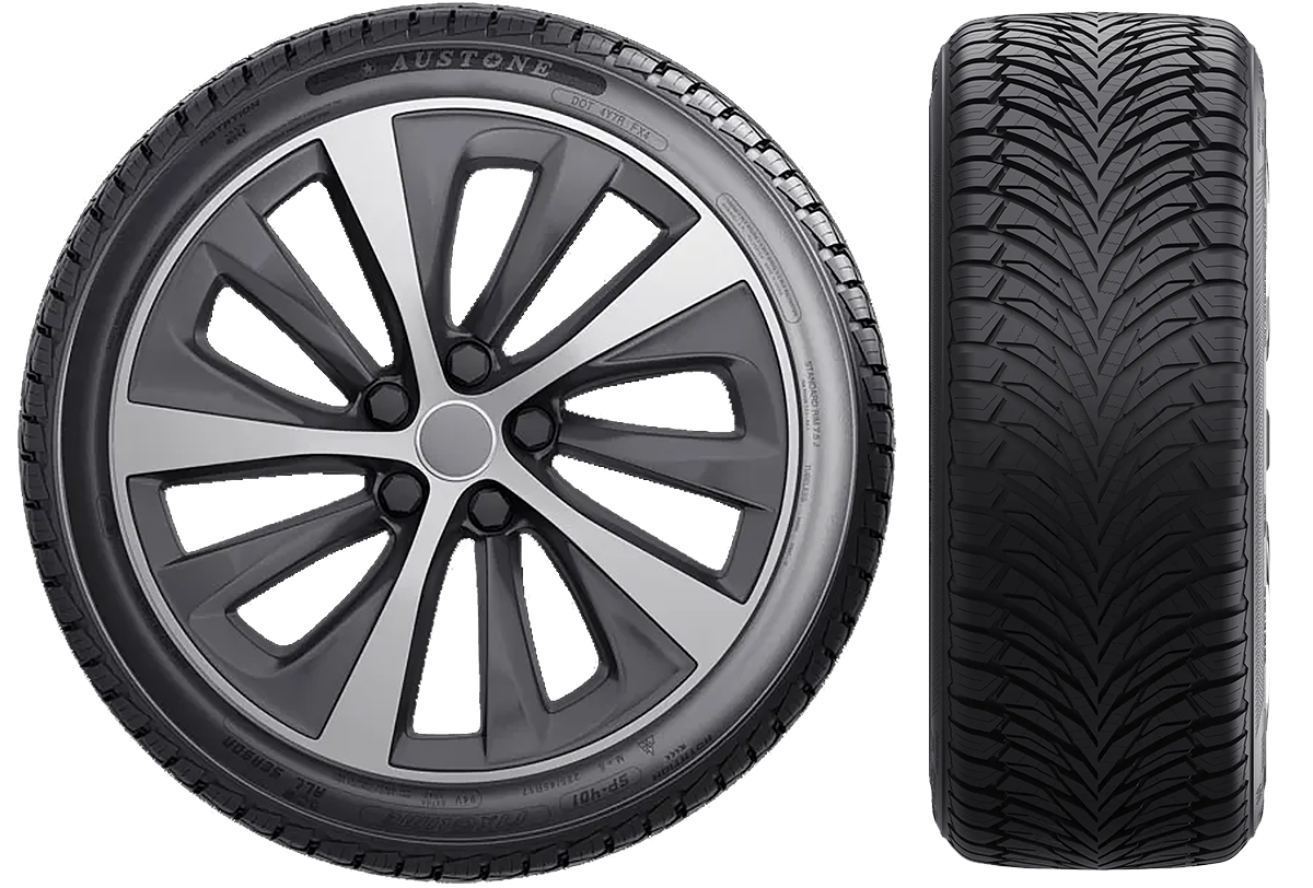 Austone SP 401